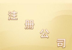 集团公司年检的基本程